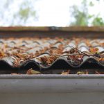 Why To Hire A Professional Roof Cleaning Service?
